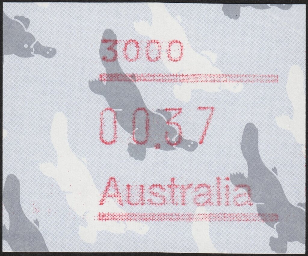 Kangaroo and Map, Perforated OS
