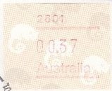 Rose Coneflower (Isopogon formosus ssp. dasylepis)