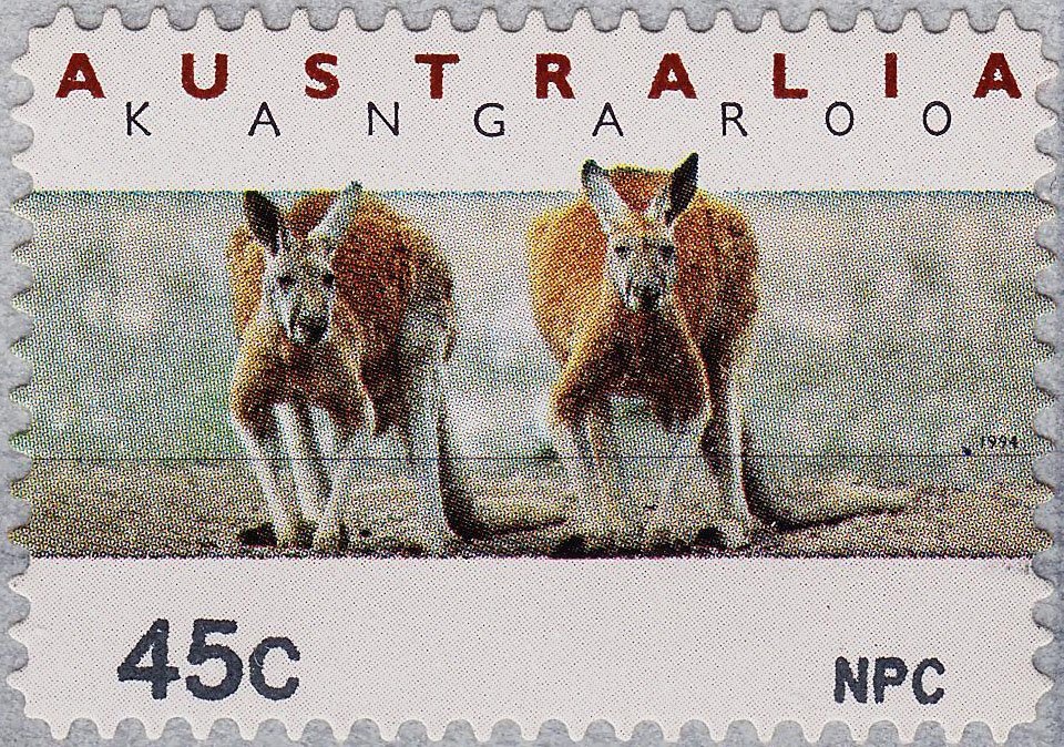 Kangaroo and Map, Perforated OS