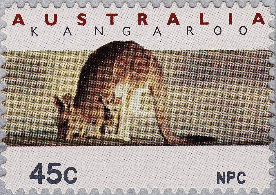 Wreck of HMS Pandora, 1791, and pistol