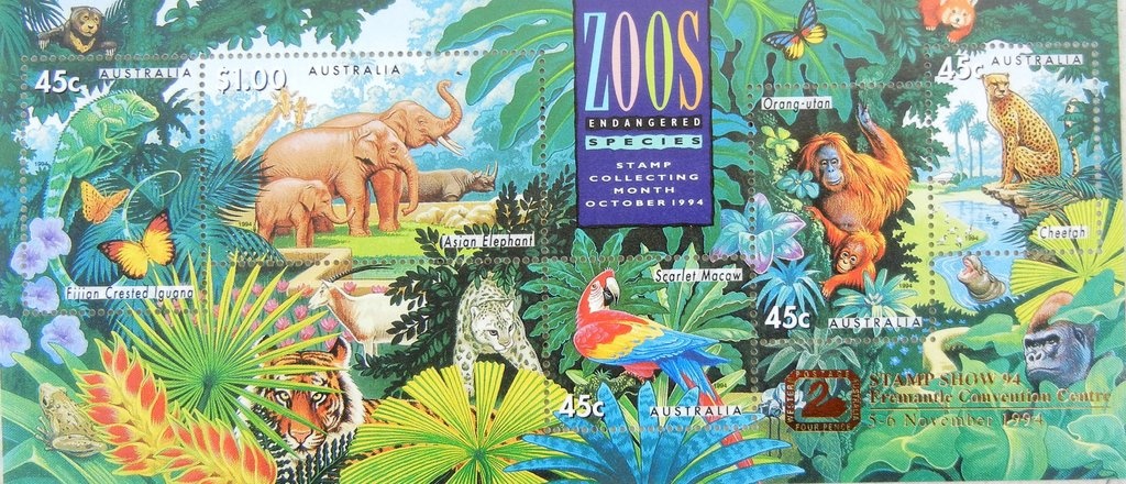 Callum Simpson, Swimming