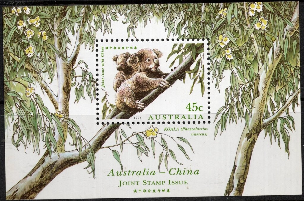 Leafy Seadragon (Phycodurus eques)