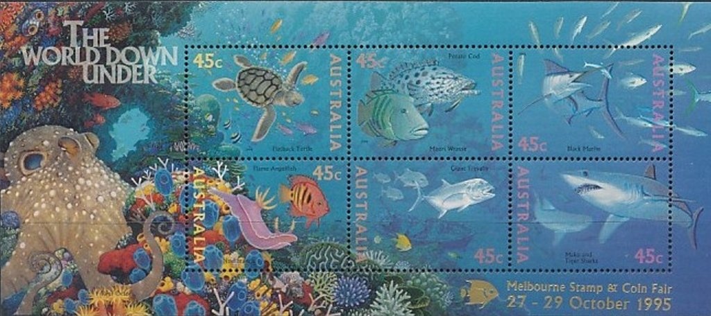 Neon Cuckoo Bee (Thyreus nitidulus)