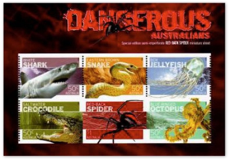 Koalas and Kangaroos