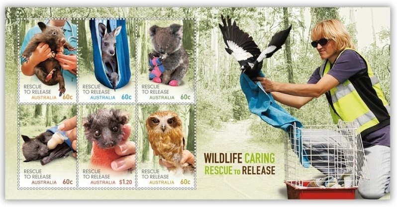 T is for Tasmania map, Tasmanian devil, Tradesman in Tinnie