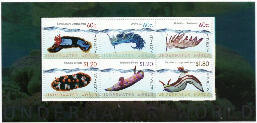 Southern Corroboree Frog (Pseudophryne corroboree)