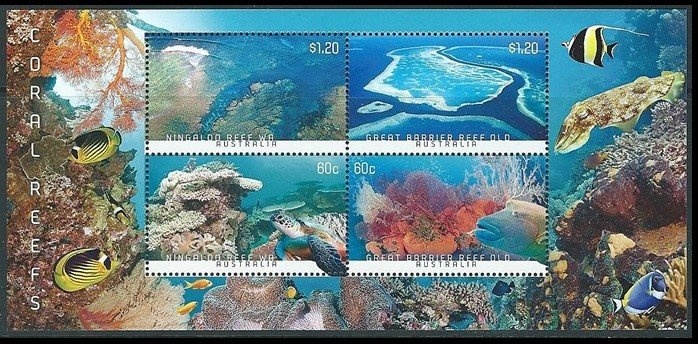 Counter Printed - Dusky Hopping-mouse (Notomys fuscus)