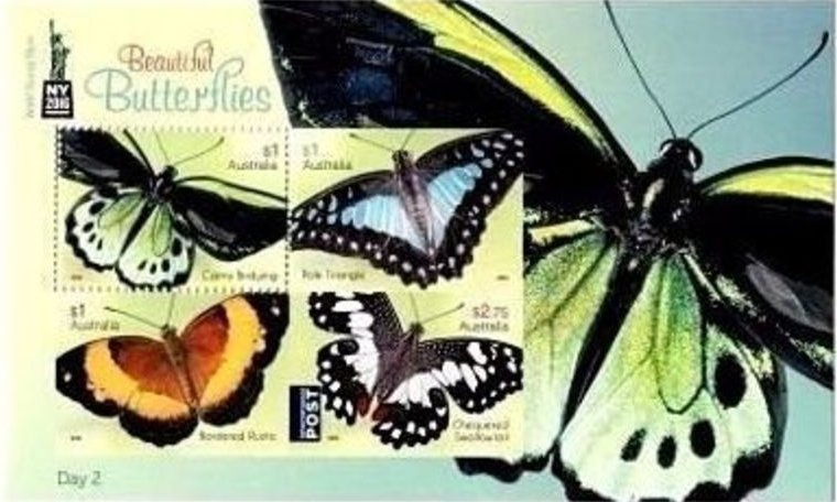 Kerri-Anne Kennerley