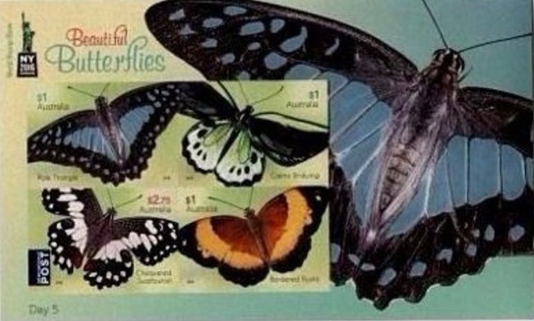 Edgeworth David - Geologist