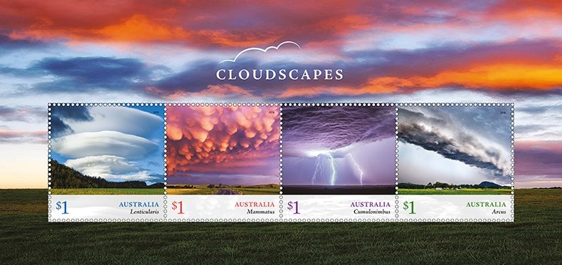 Koala (Phascolarctos cinereus)