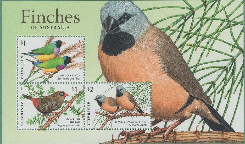 NY 2016 "Day 2" on Beautiful Butterflies