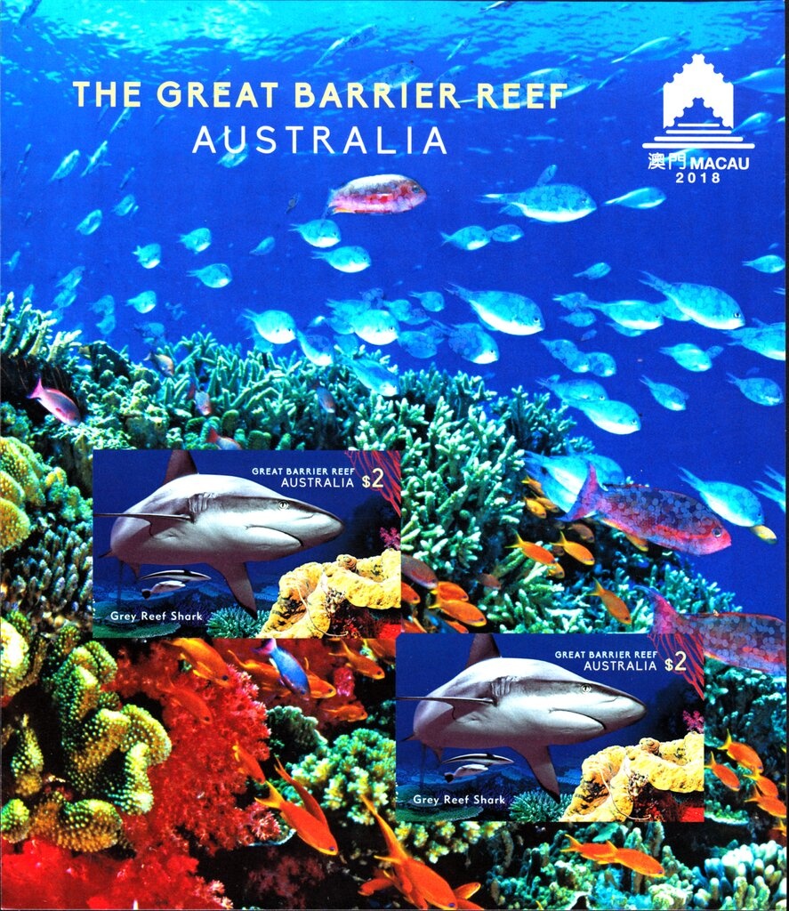 Animals in War - Soldier Releasing Carrier Pigeon