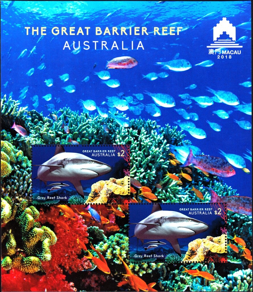 Platypus (Ornithorhynchus anatinus)