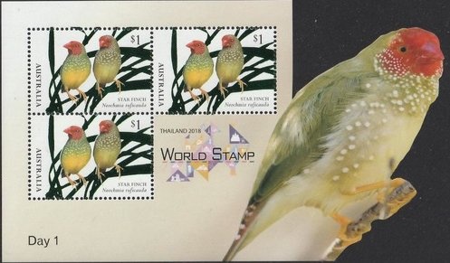 Long-tailed Hopping-mouse (Notomys longicaudatus)