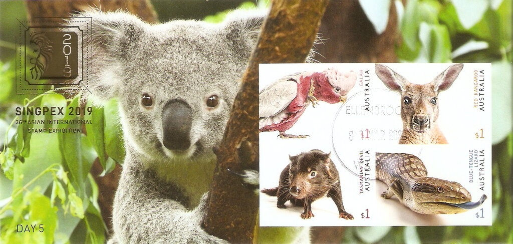 Jewel Beetle (Castiarina klugii)