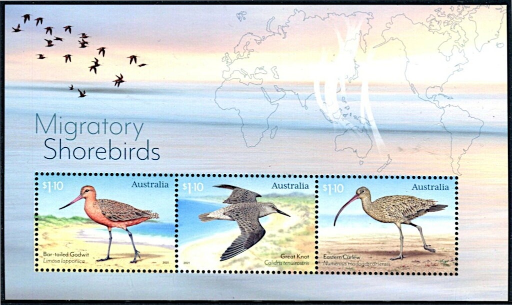 Prime Minister - Joseph Cook