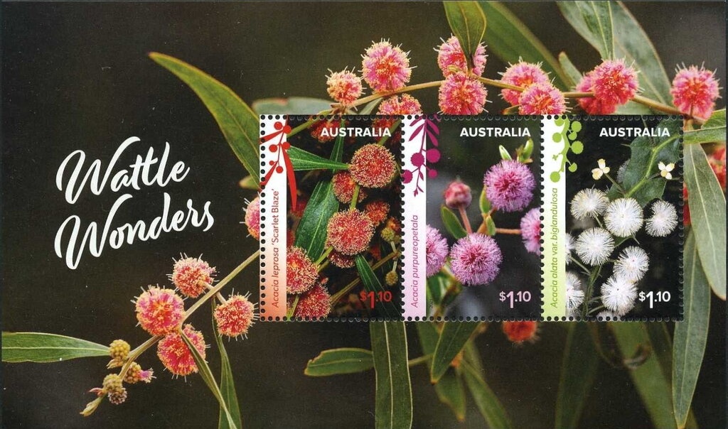 The Convict Past: Van Diemen's Land