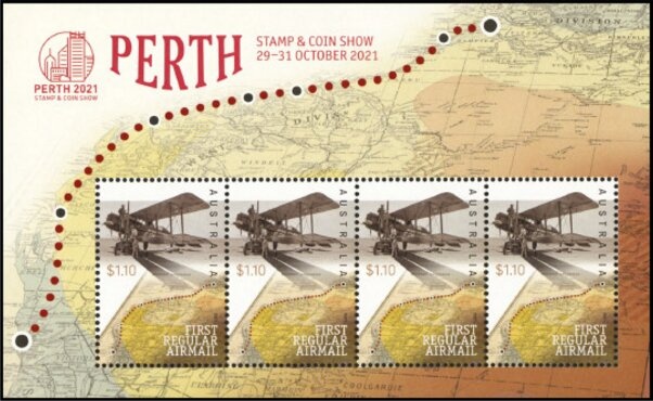 Elephant-face Peacock Spider (Maratus elephans)