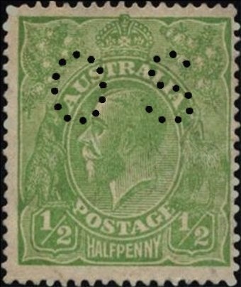 Echidna (Tachyglossus aculeatus)