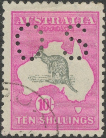Counter Printed - Parma Wallaby (Notamacropus parma)