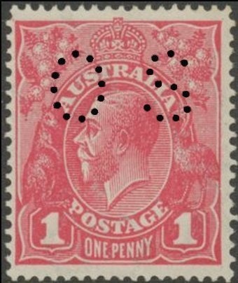 Southern Boobook (Ninox boobook lurida)