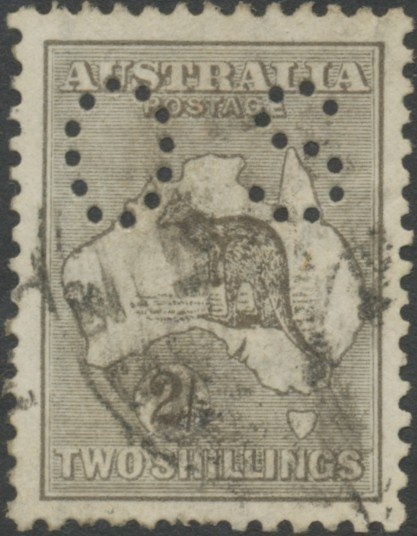 Bar-tailed Godwit (Limosa lapponicas)