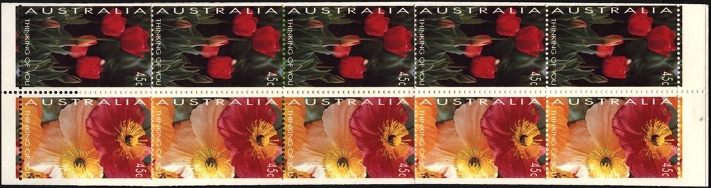 Kangaroos and Koalas 43