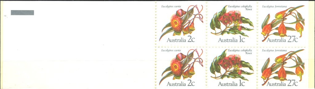 Western Ground Parrot (Pezoporus flaviventris)