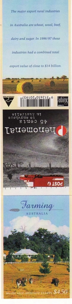 Black-Breasted Buzzard (Hamirostra melanosternon)