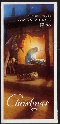 Great Knot (Calidris tenuirostris)