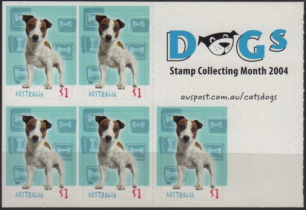 Yellow-Footed Rock-Wallaby (Petrogale xanthopus)