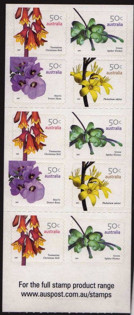 Petrophile latericola seed