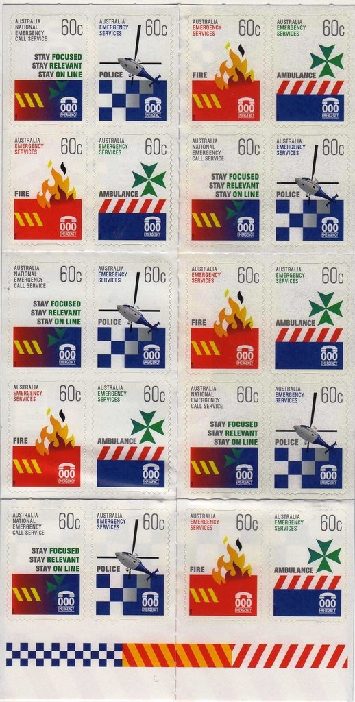 Donkey Orchid (Diuris Magnifica) - (3rd Reprint - 3 Koalas)