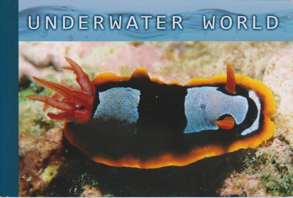 Riverland Wetland, South Australia