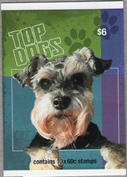 Waratah (Telopea speciosissima)