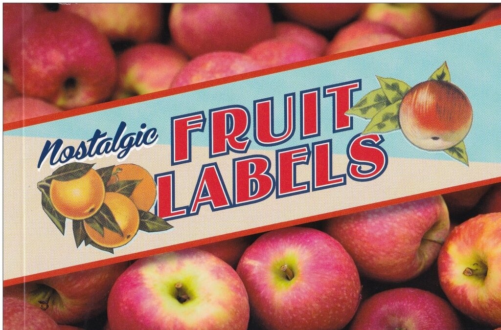 Western Ground Parrot (Pezoporus flaviventris)