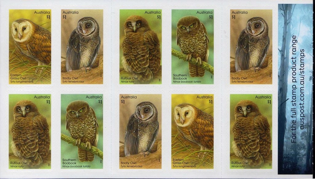 Work by Lucy Malirrimurruwuy