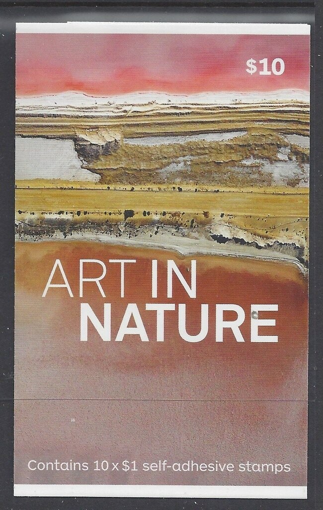 Red Kangaroo (Osphranter rufus)