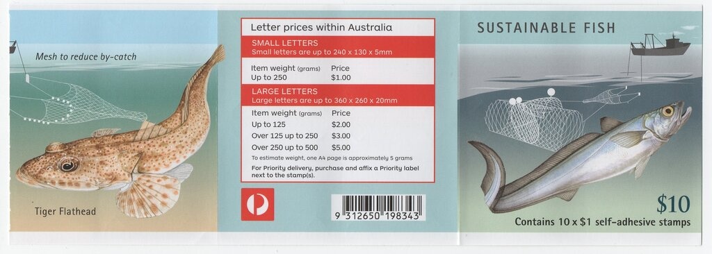 Red Kangaroo (Osphranter rufus)