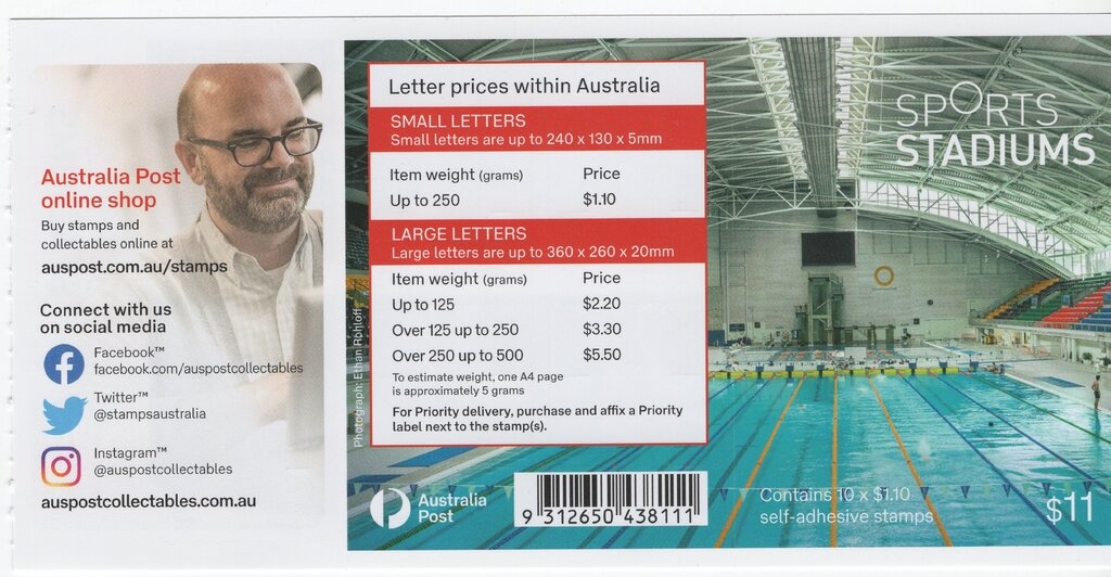 Eastern Grey Kangaroo (Macropus giganteus)