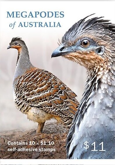 Christmas Present Cookie