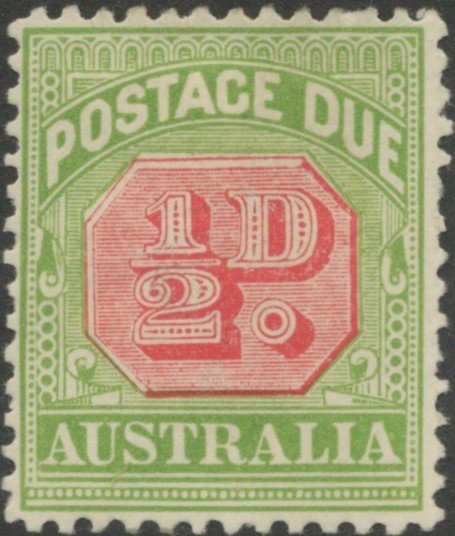 Southern Bottlenose Whale (Hyperoodon planifrons)