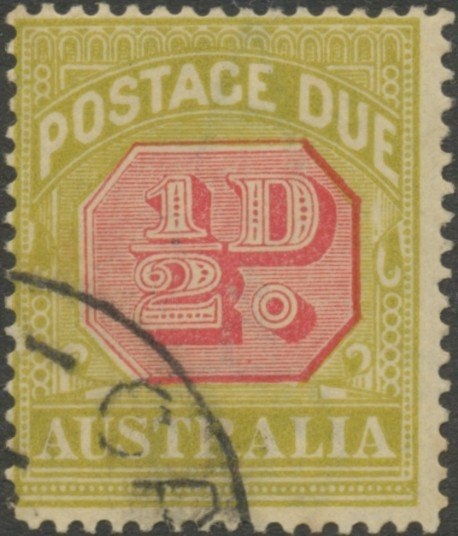 Eastern Grey Kangaroo (Macropus giganteus)