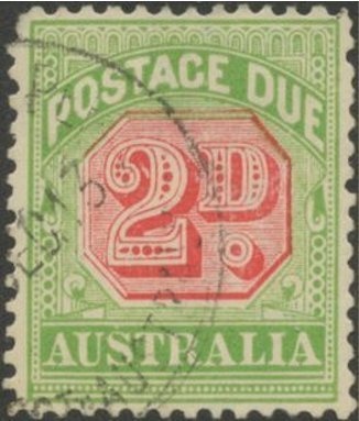 Eastern Grey Kangaroo (Macropus giganteus)