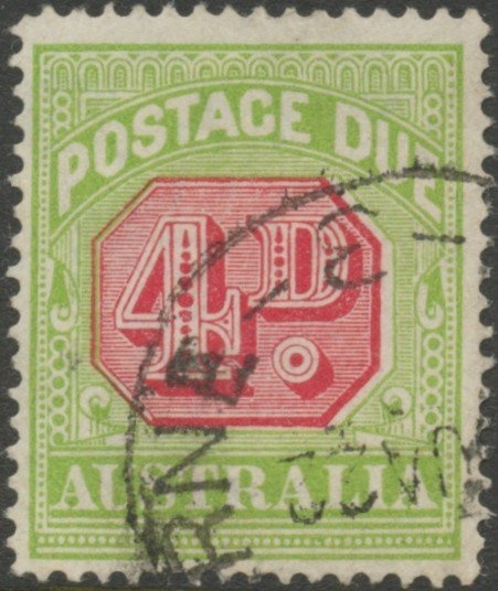 Red Kangaroo (Osphranter rufus)