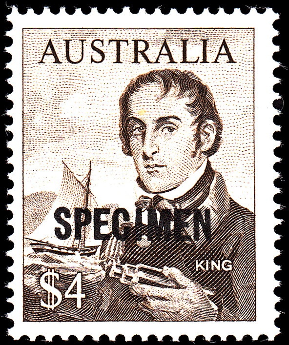 Leafy Seadragon (Phycodurus eques)