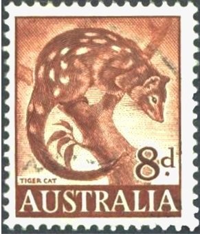 Bazinga (Bazinga rieki)