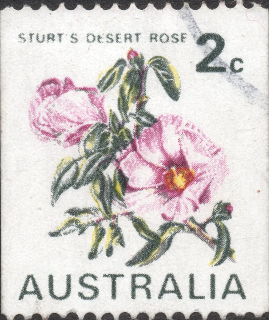 Anna Meares Velodrome, Brisbane, Queensland