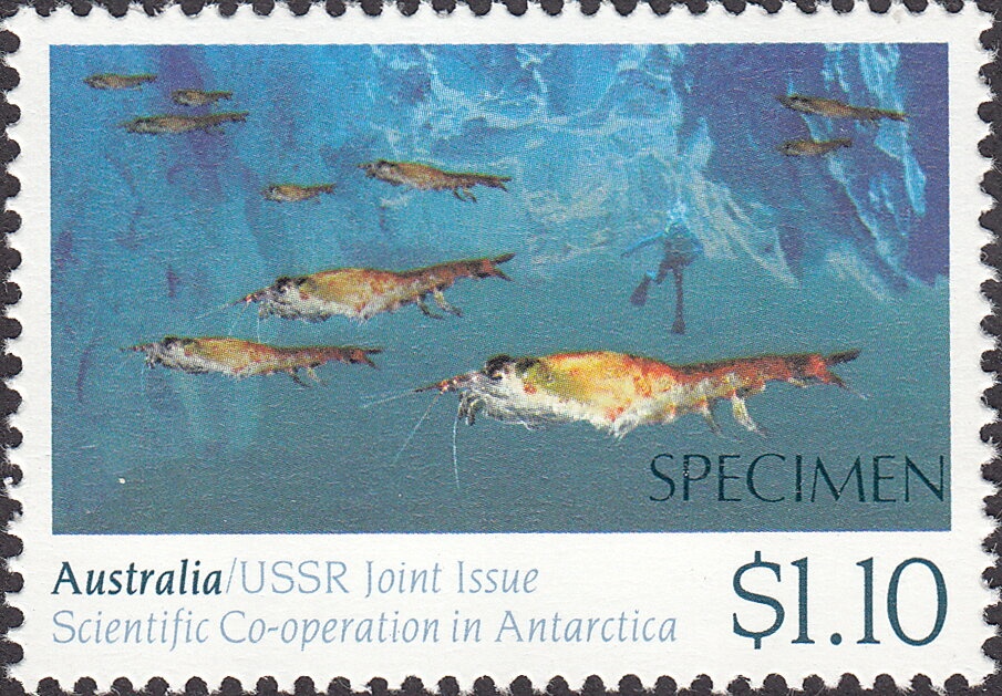 Kangaroo and Map, Perforated OS