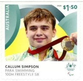 Common Oakblue butterfly